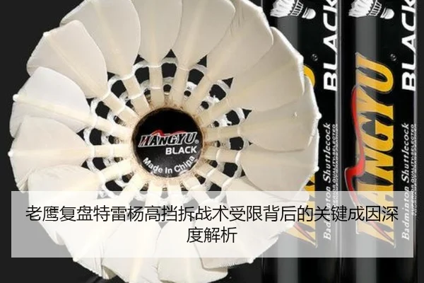 老鹰复盘特雷杨高挡拆战术受限背后的关键成因深度解析